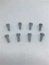 1964-65 El Camino Tail Light Lens Screws (set)