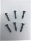 1965 Tail Light Lens Screws (set)