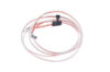 1966-67 Dome Lamp Harness (center roof mount) (CH62024)