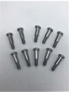 1966 Tail Light Lens and Back Up Lens Screws (set)
