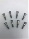 1967-72 El Camino Tail Light Lens Screws (set)